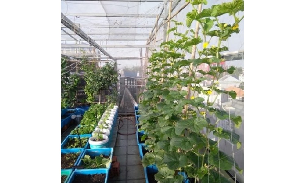 Nhà màn trên sân thượng