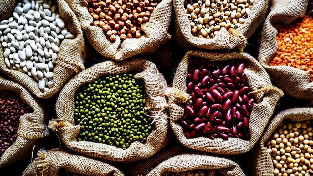 Ăn đậu đem lại nguồn dinh dưỡng cho người sử dụng