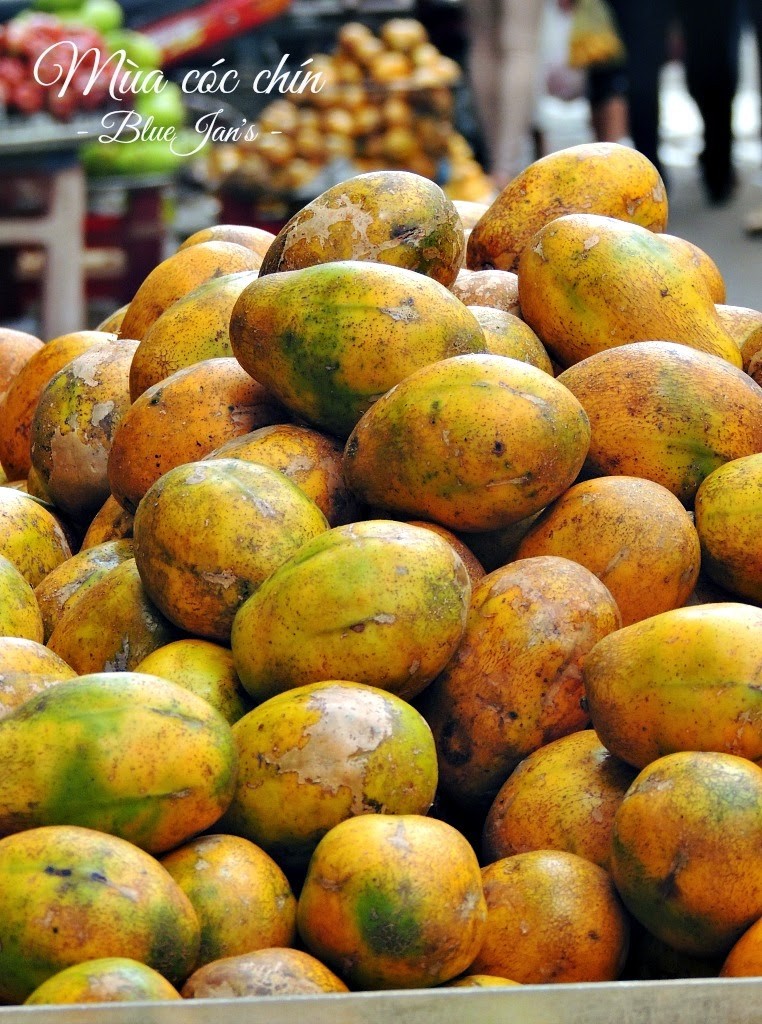 Mùa cóc chín vàng rực rỡ trên xe đẩy