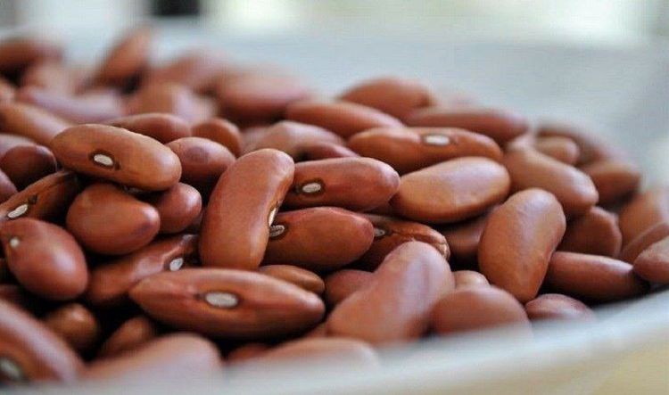 Ăn đậu thận với cơm rất tốt cho sức khỏe con người