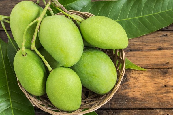 Xoài ra hoa tháng mấy?