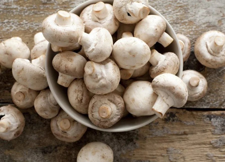 Nấm mỡ tròn trịa