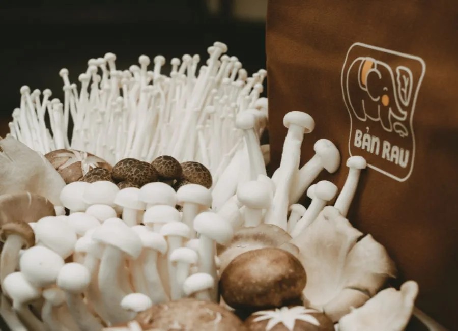 Cảnh nấm tươi ngon được bày biện hấp dẫn