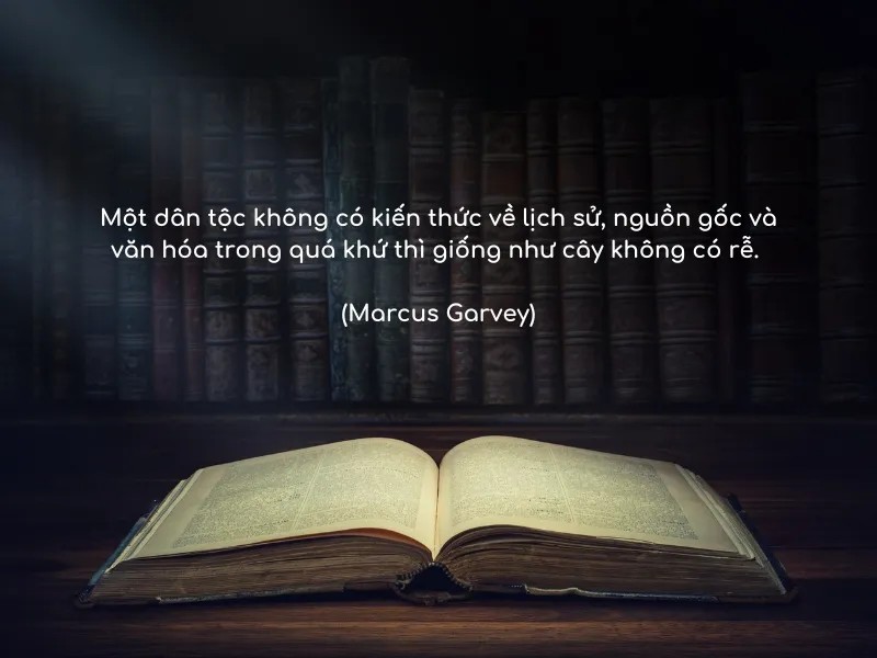 nhung cau noi hay ve lich su voh 2 1