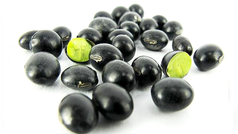 nhungtachaicuadaudenxanhlongneukhongbietbanratdemacphai657065360c 1