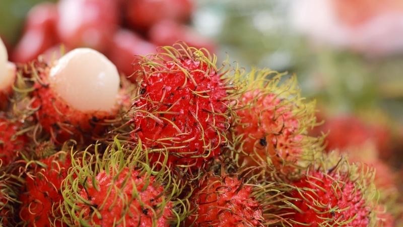 Bà đẻ ăn chôm chôm được không?