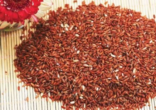 Gạo lứt đỏ chứa lượng lớn các chất dinh dưỡng cần thiết cho người dùng