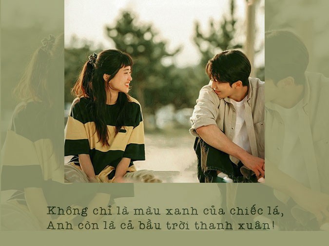 Cây xanh tươi tốt dưới ánh nắng