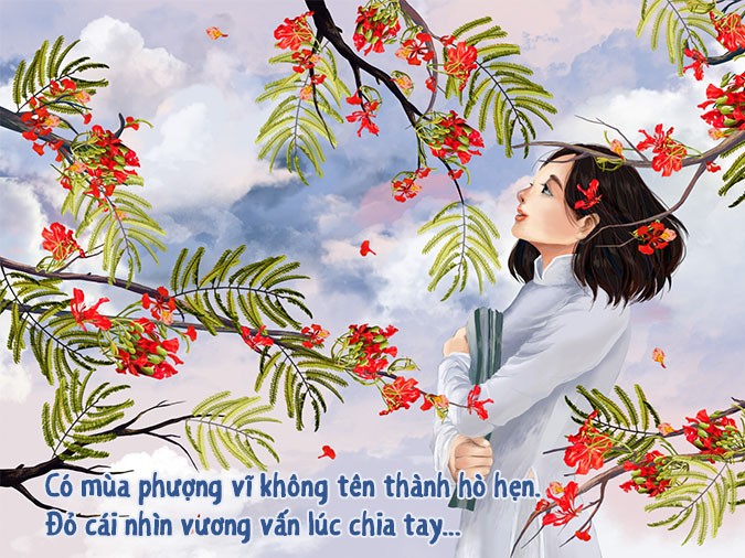 Cánh phượng đỏ rực một góc trời