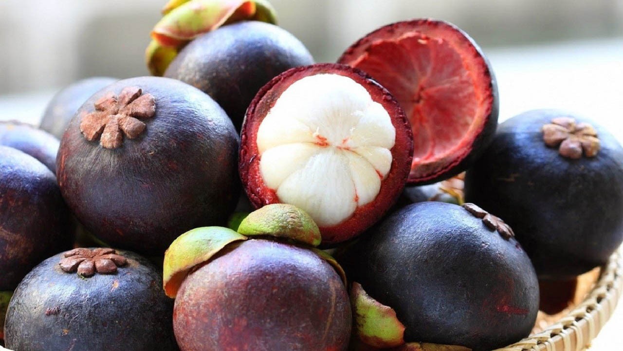 Măng cụt Bến Tre – hoa quả miền Tây cực ngon