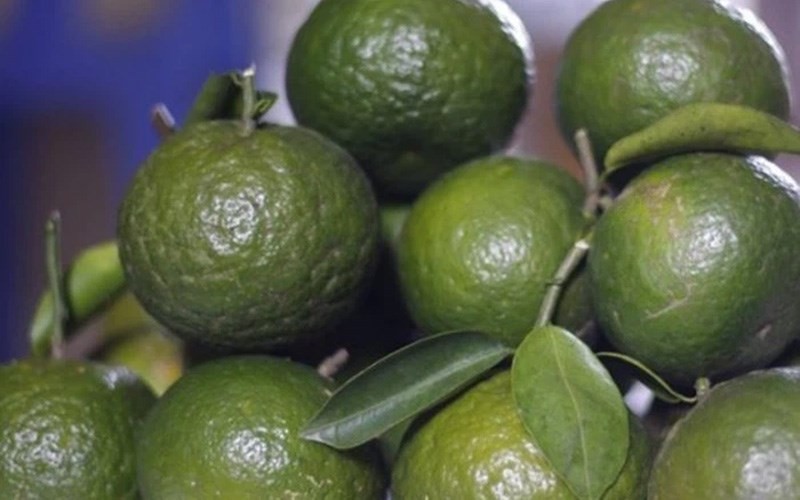 Hướng Dẫn Chi Tiết: Cách Chọn Cam Sành, Cam Xoàn, Cam Canh Ngon và Bảo Quản Tươi Lâu 5 0 800x500 12 1