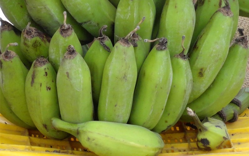 Cách chọn chuối xanh ngon