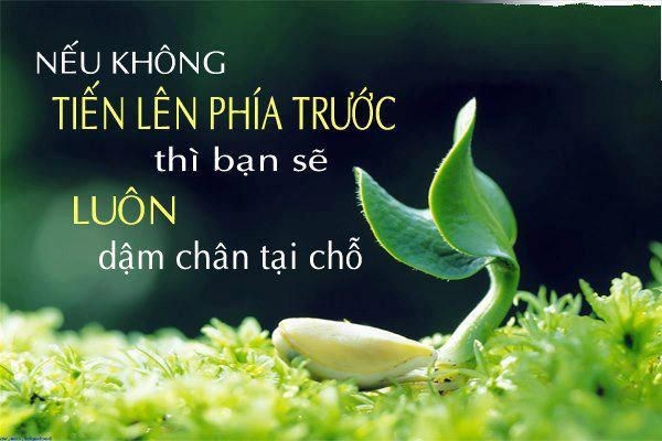 Một người đang làm việc hăng say tại văn phòng