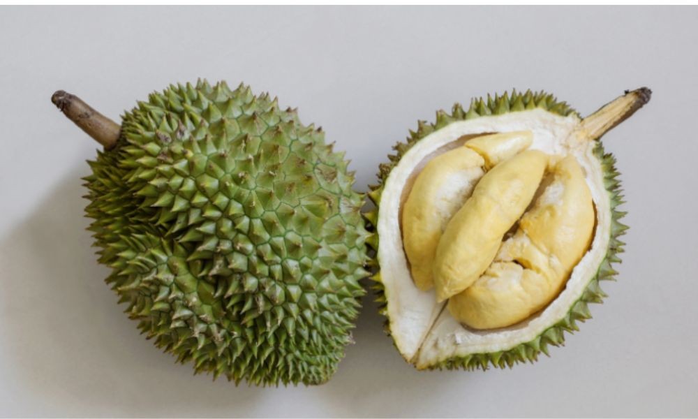 Khám Phá Thế Giới Sầu Riêng: Những Loại Ngon Nhất và Bí Quyết Chọn Lựa 9 2 cac loai sau rieng ngon ua chuong viet nam 1