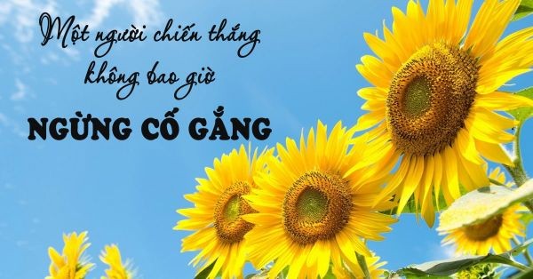 Một người đang nỗ lực vượt qua chướng ngại vật