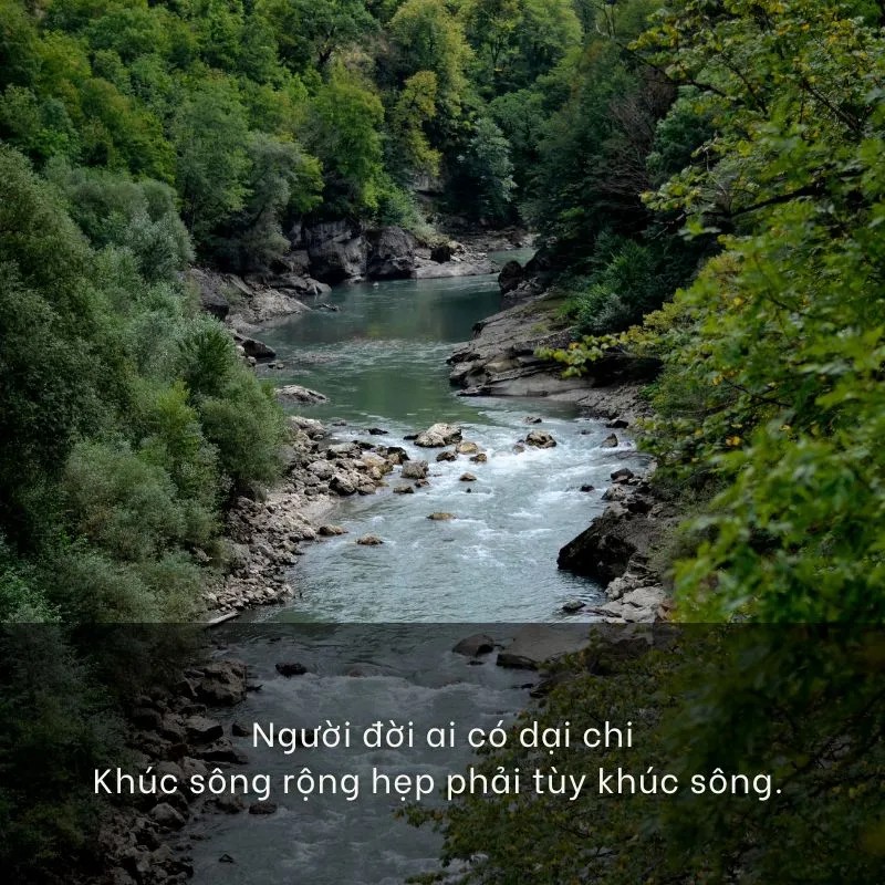 Ca, dao, tục ngữ về môi trường và các bài học cuộc sống