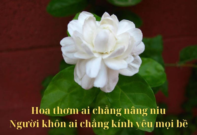 Ca dao tục ngữ về lời ăn tiếng nói