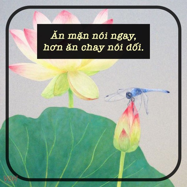 ca-dao-tuc-ngu-ve-loi-noi-loi-ung-xu-voh-6