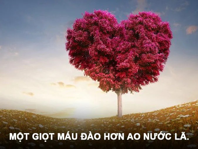 ca dao tuc ngu yeu thuong con nguoi 1