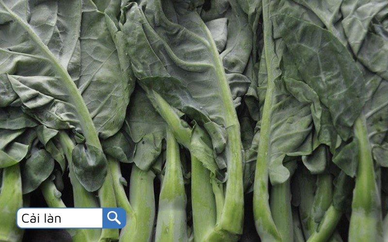 Cải làn với màu sắc rực rỡ, thêm phần hấp dẫn cho món ăn