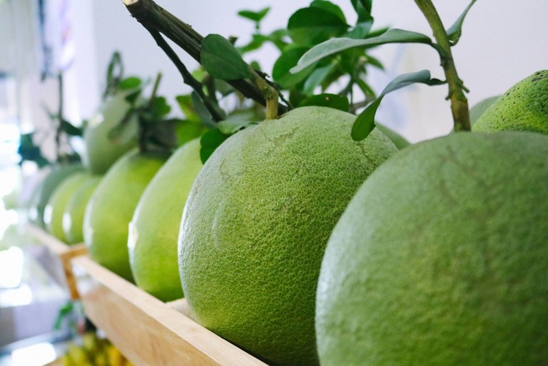 Bưởi da xanh là loại bưởi được xem là đặc sản của tỉnh Bến Tre