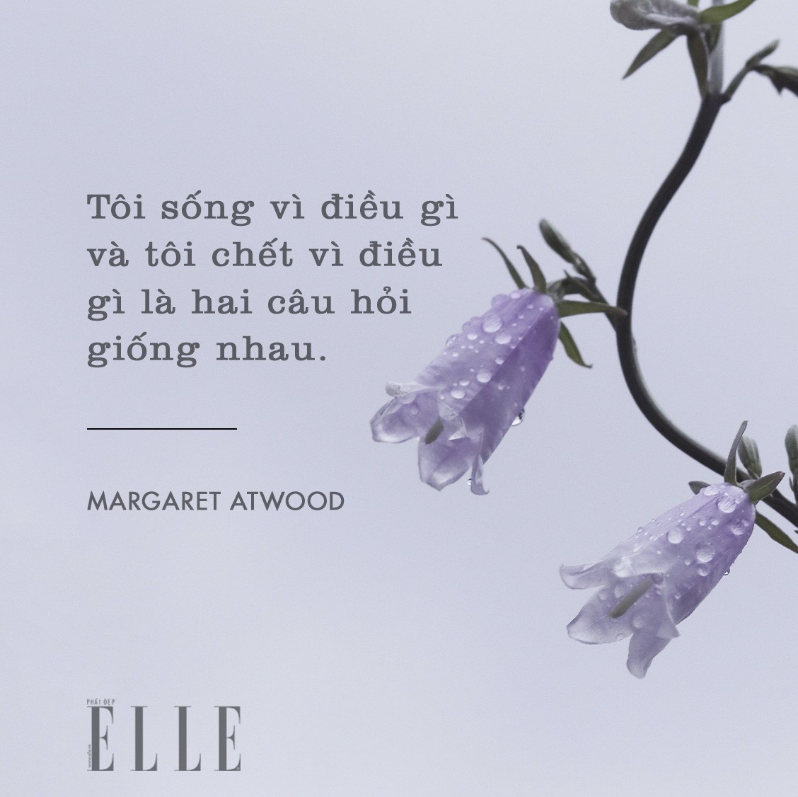 Những Câu Nói Hay Về Mục Đích Sống: Tìm Lại Ý Nghĩa và Động Lực 6 cau noi hay ve muc dich song 10 1