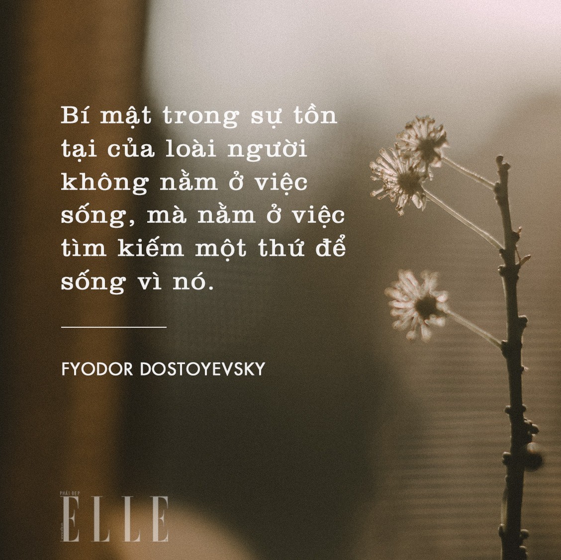 Cảnh sát phong tỏa và khám nghiệm khu vực phát hiện thi thể nạn nhân