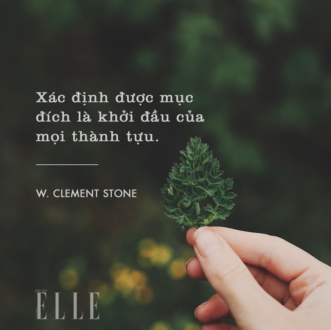 Cảnh sát phong tỏa và khám nghiệm khu vực phát hiện thi thể nạn nhân