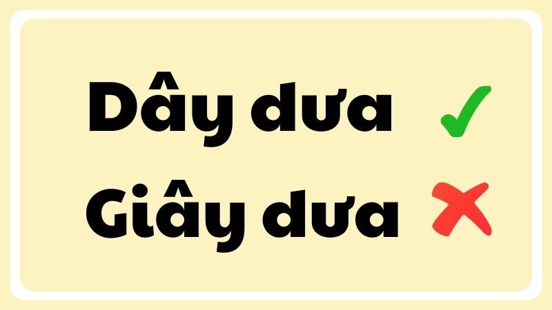 day dua hay giay dua 1 1