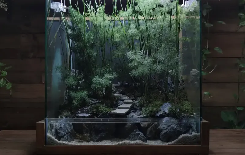 imgi 81 Terrarium dep 2 1