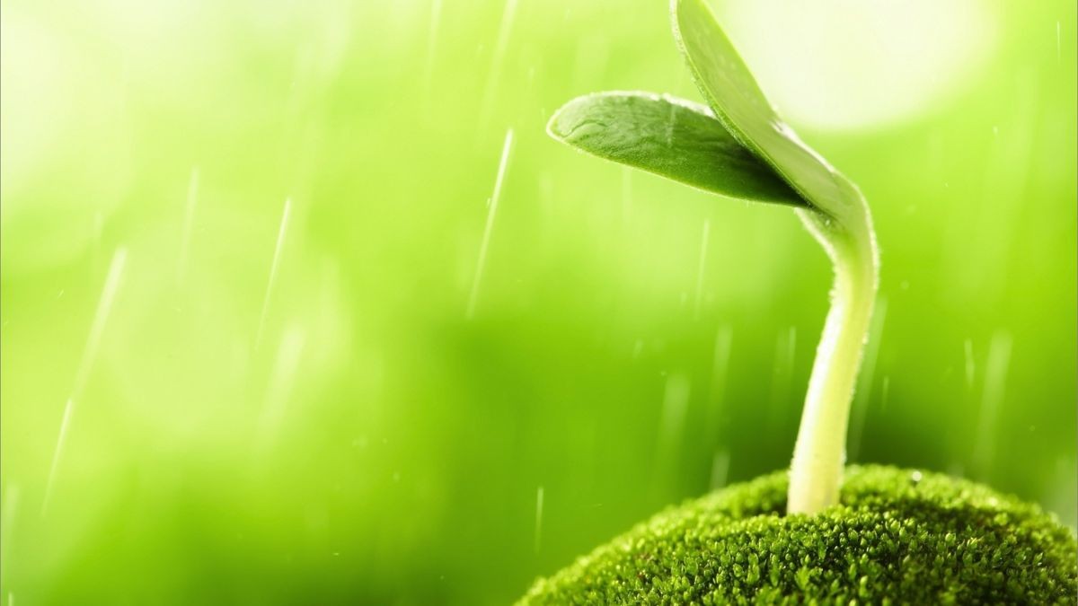 Những câu nói tiếng Anh hay về bản thân sâu sắc