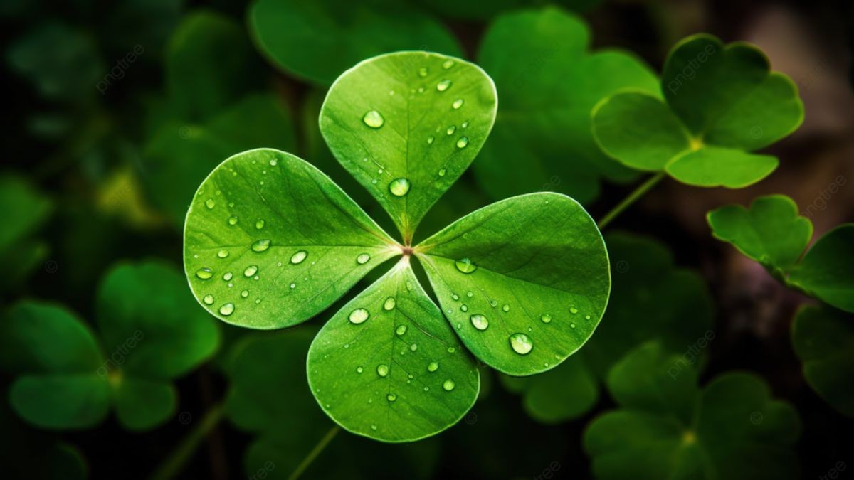 Những câu nói hay giúp bạn yêu bản thân hơn