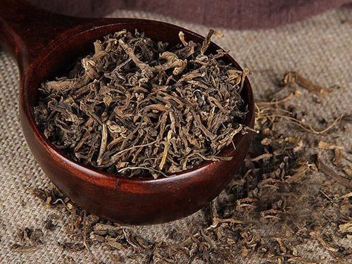 Cây rau sam được ứng dụng trong một số bài thuốc Y học cổ truyền