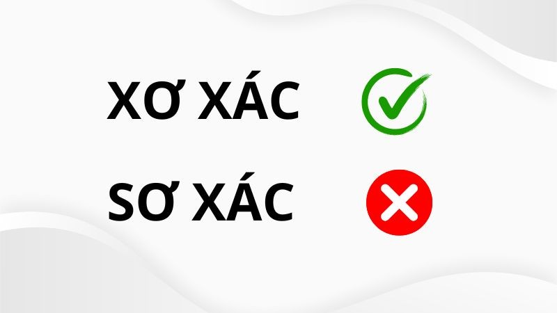 so xac hay xo xac 1