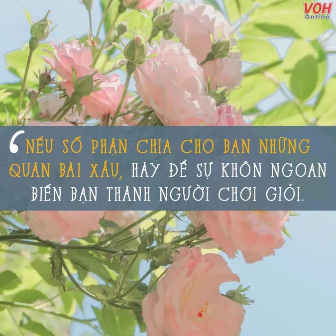 Những câu nói truyền cảm hứng về con đường phía trước