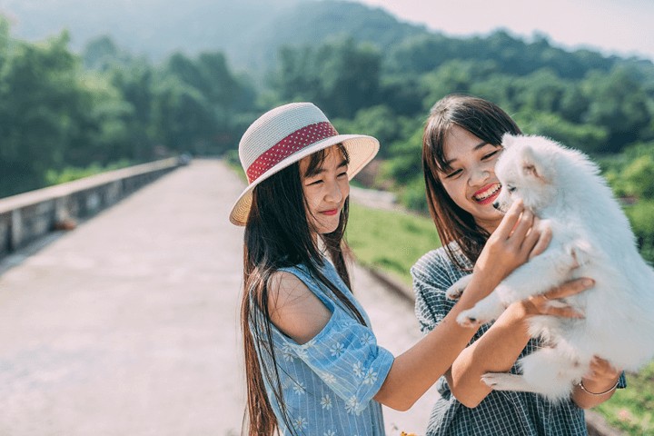 stt chat ve tinh chi em 1