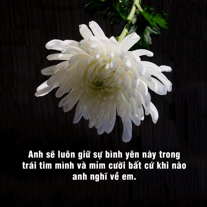 68 stt về sự mất mát người thân giúp xoa dịu niềm đau 3