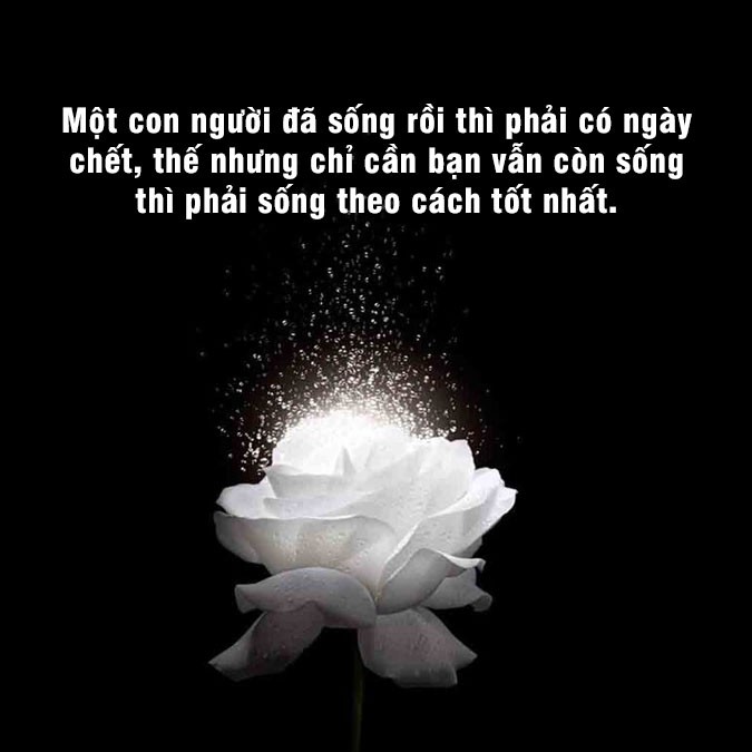 68 stt về sự mất mát người thân giúp xoa dịu niềm đau 4