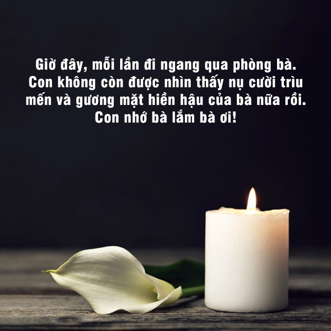 68 stt về sự mất mát người thân giúp xoa dịu niềm đau 5