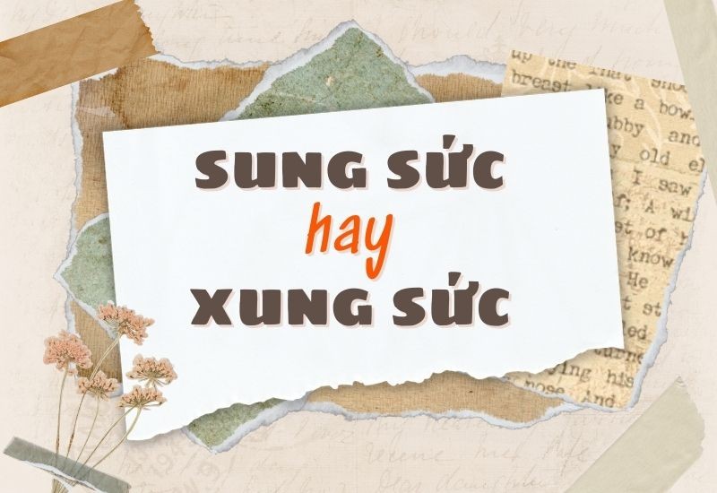 sung suc hay xung suc 1