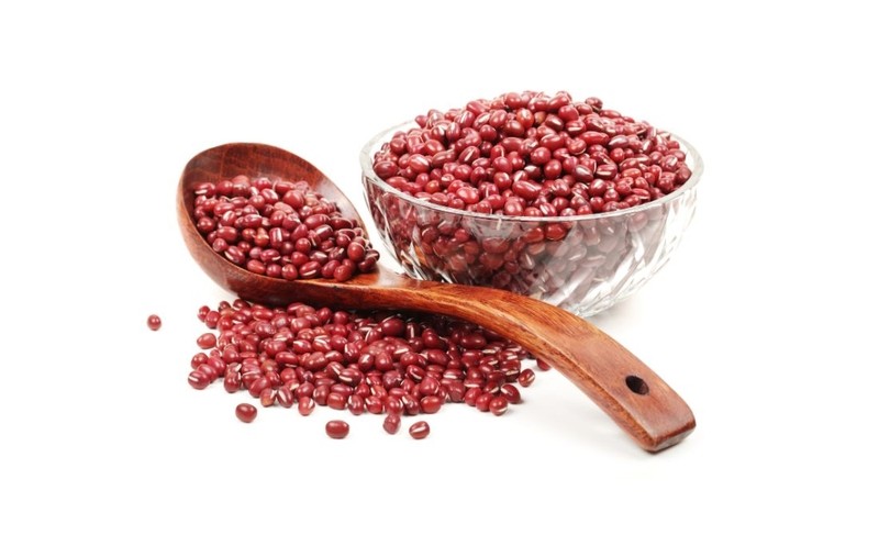 Đậu đỏ hạt nhỏ giống thuần chủng được cho là tốt nhất