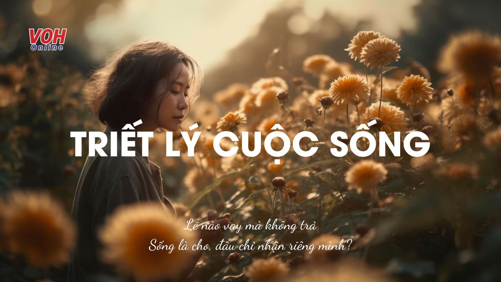 Thơ hay về triết lý cuộc sống