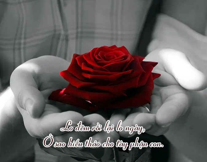 Hình ảnh thể hiện sự chăm sóc của con cái dành cho cha mẹ già