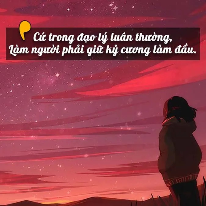 Hình ảnh bông sen vươn lên từ bùn lầy