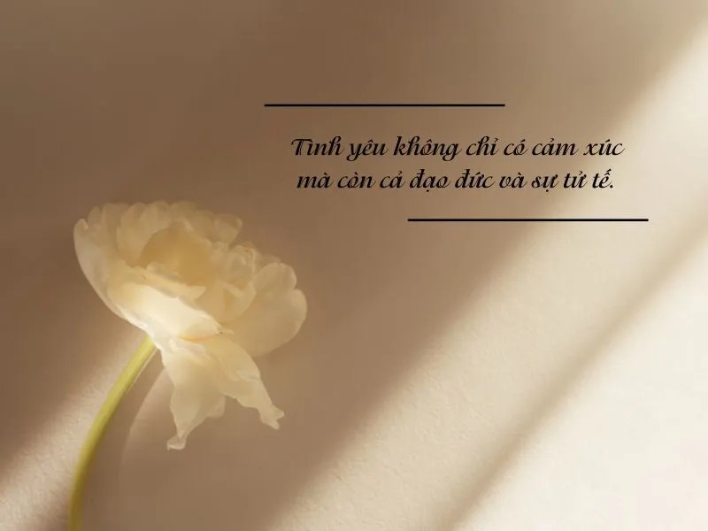 Những câu nói hay về sự tử tế giúp nuôi dưỡng tâm hồn đẹp 2