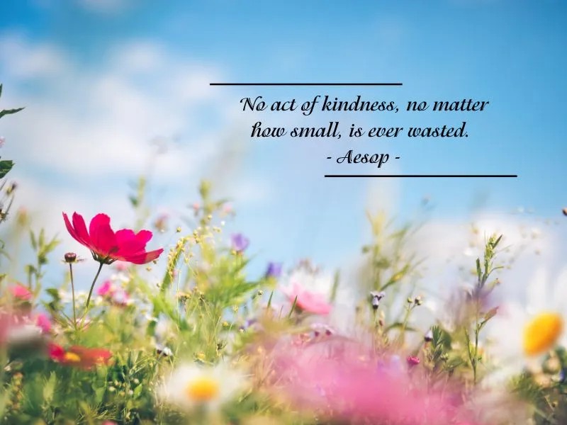 Những câu nói hay về sự tử tế giúp nuôi dưỡng tâm hồn đẹp 3