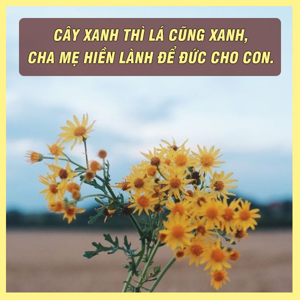 Tình người trong văn hóa Việt Nam