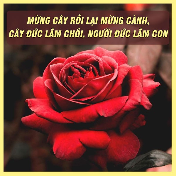 Sự sẻ chia trong cuộc sống