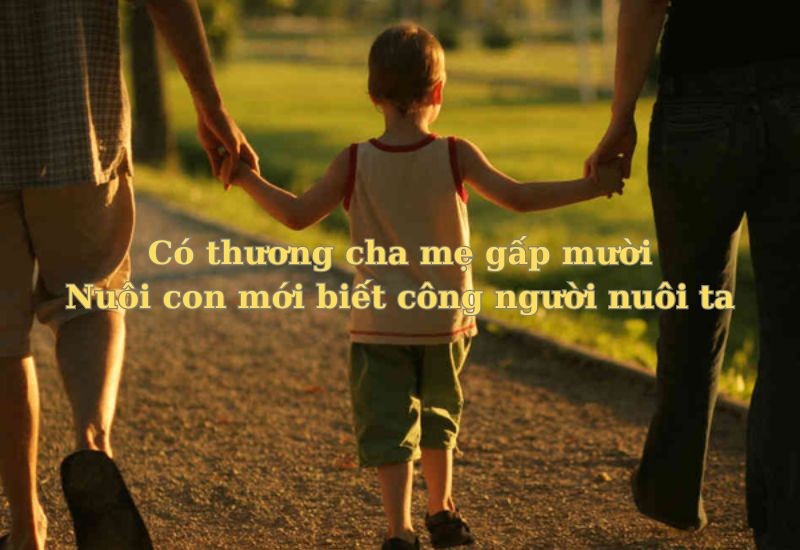 Hình ảnh cây cối có rễ bám sâu vào lòng đất