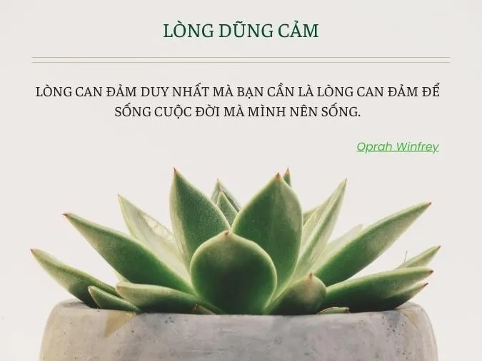 Một người đang thực hiện hành động dũng cảm, biểu tượng của sự vượt lên